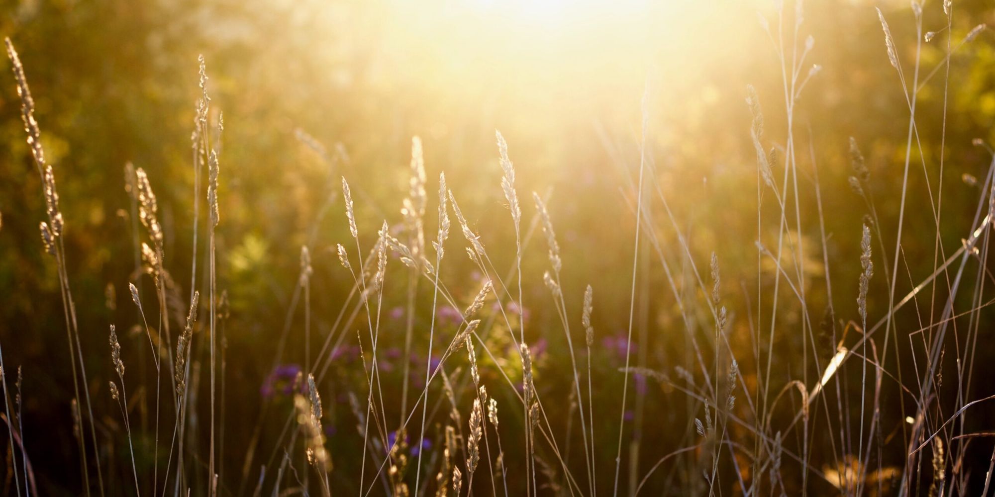 Selbstbewusstsein stärken - curavida.ch