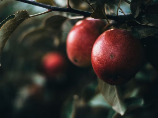 Selbstliebe - curavida.ch