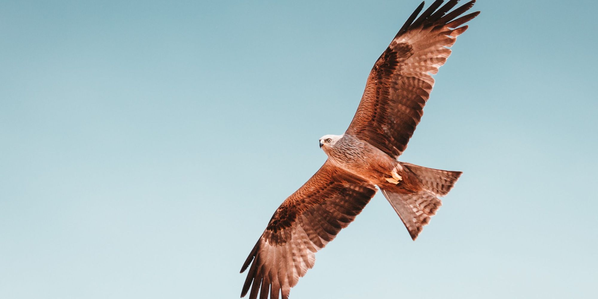 Der Weg in die Freiheit - curavida.ch