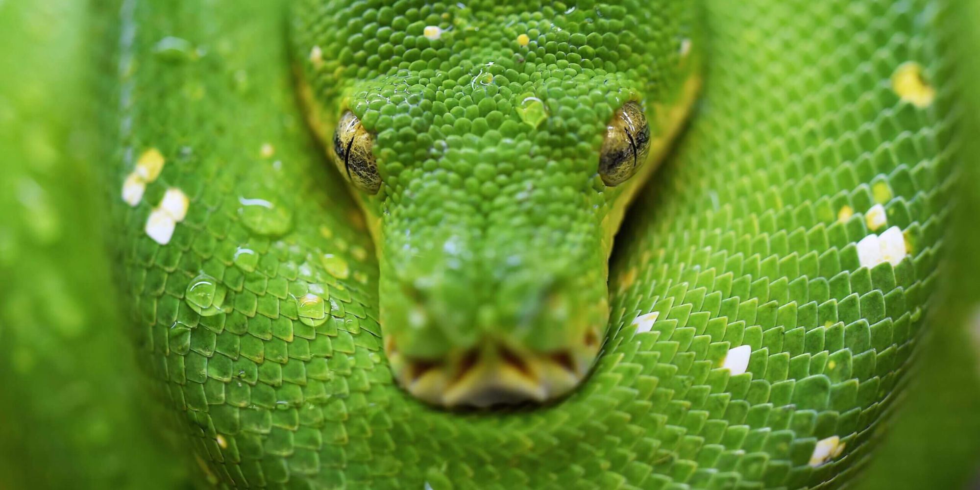 Midlife crisis - curavida.ch