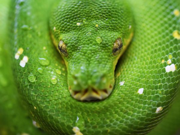 Midlife crisis - curavida.ch