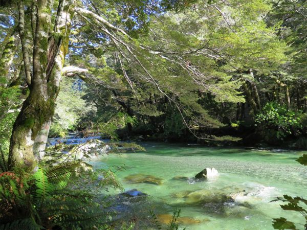 Treffen mit Franzl und der Queen - curavida.ch