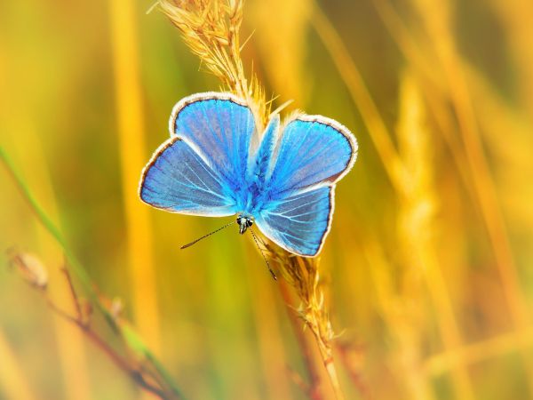 Schöpferkraft - curavida.ch