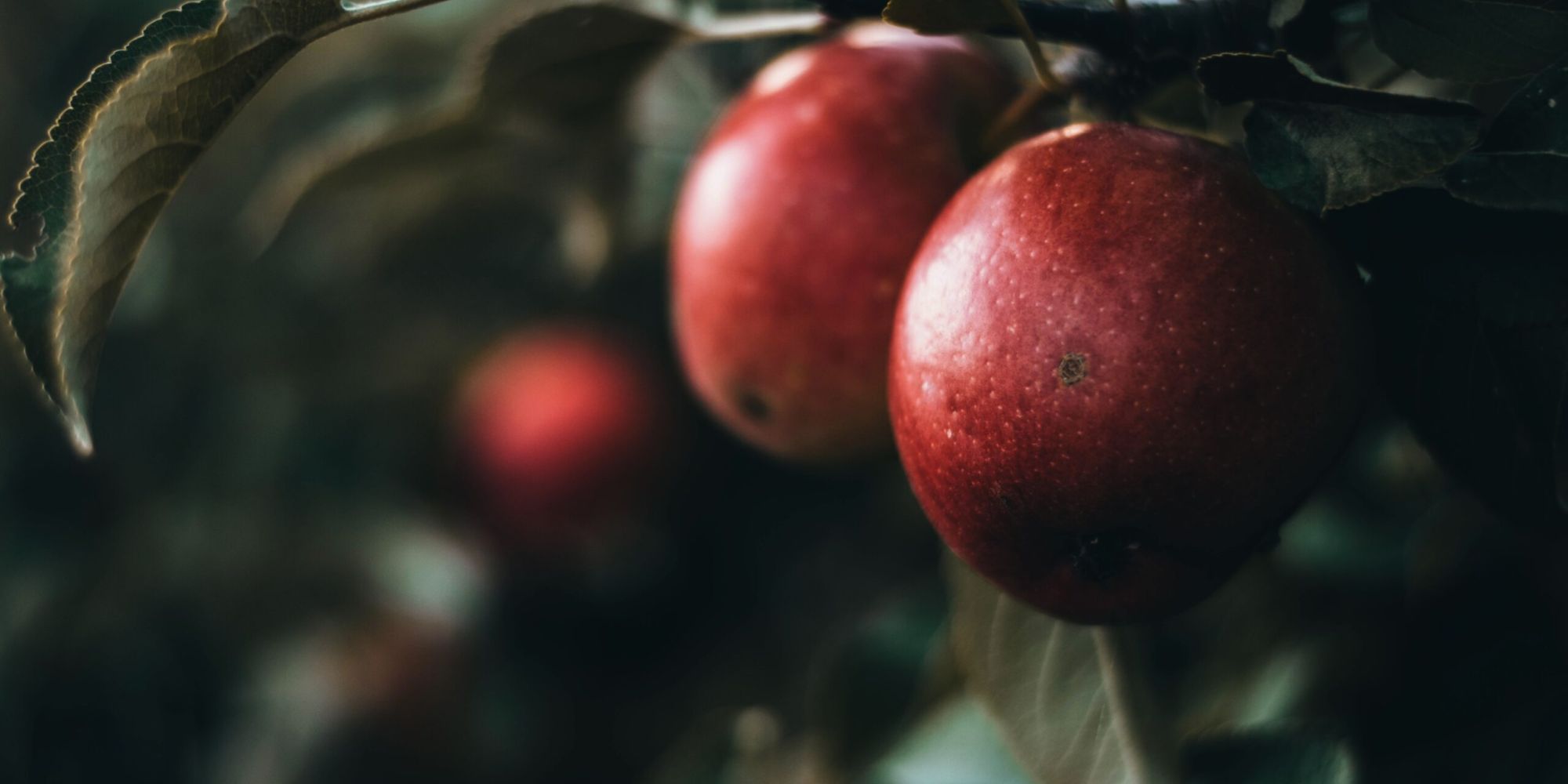 Selbstliebe - curavida.ch