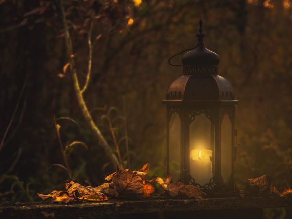 Handspindel - curavida.ch