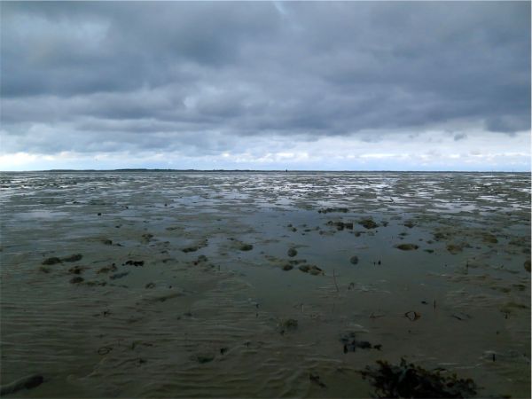 Achtamkeit - curavida.ch