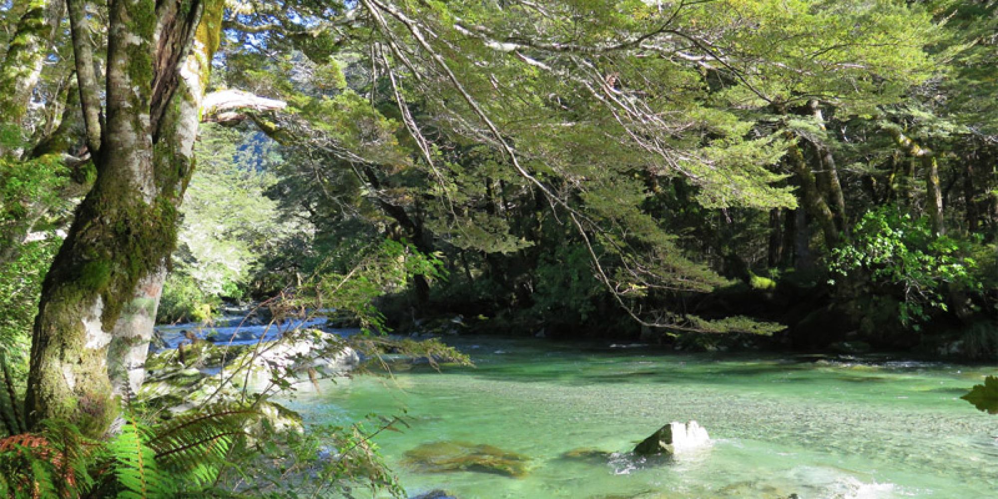 Treffen mit Franzl und der Queen - curavida.ch