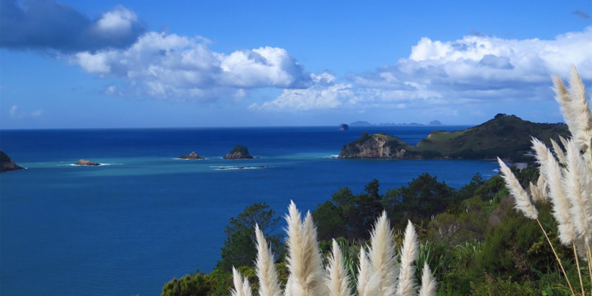 Seelen im Jenseits - curavida.ch