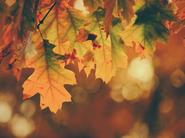 Loslassen - curavida.ch