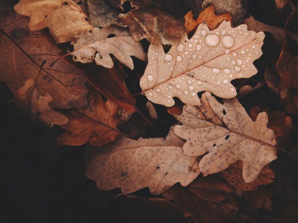 Niedergeschlagenheit - Curavida.ch