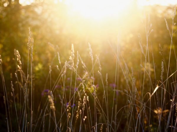 Selbstbewusstsein stärken - curavida.ch