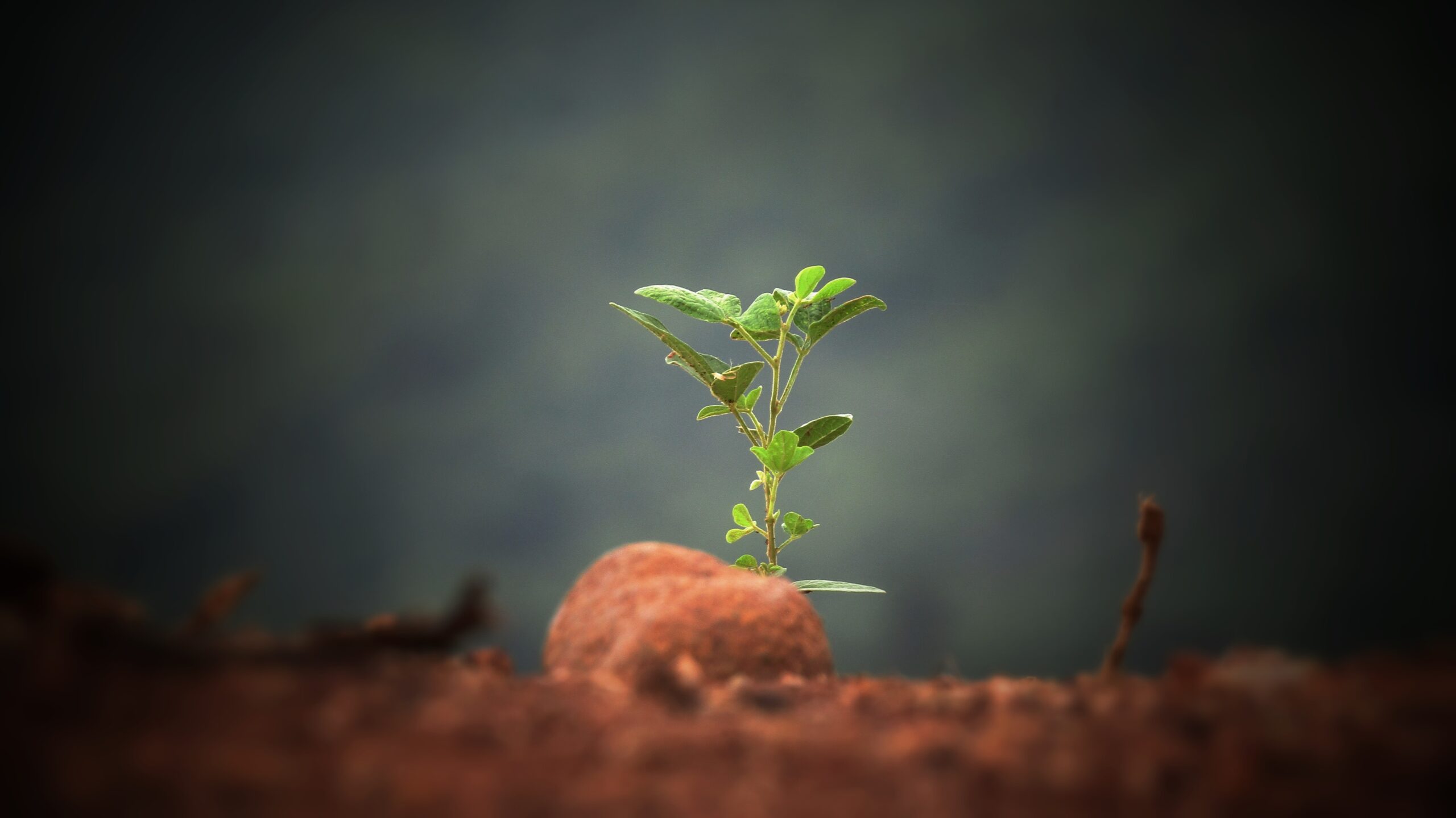 sushobhan badhai 372964 unsplash