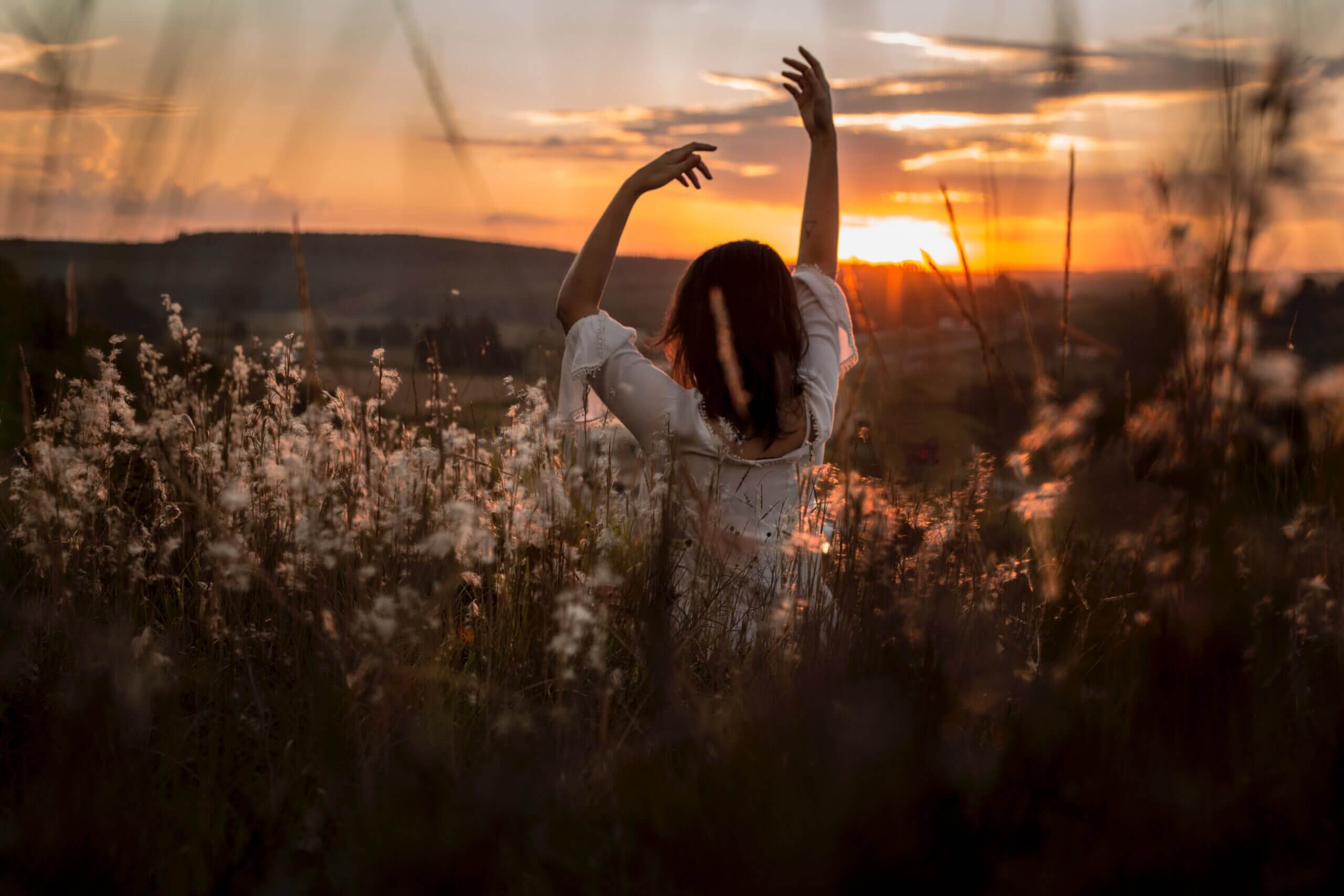 andressa voltolini 202193 unsplash