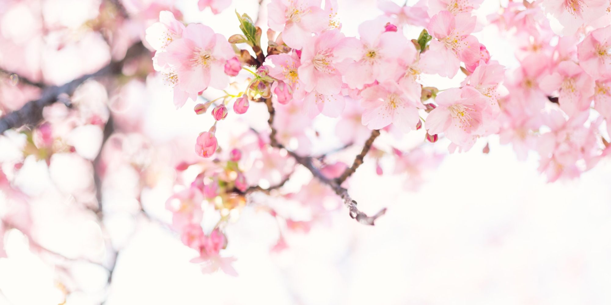 Zu sich selbst finden - curavida.ch