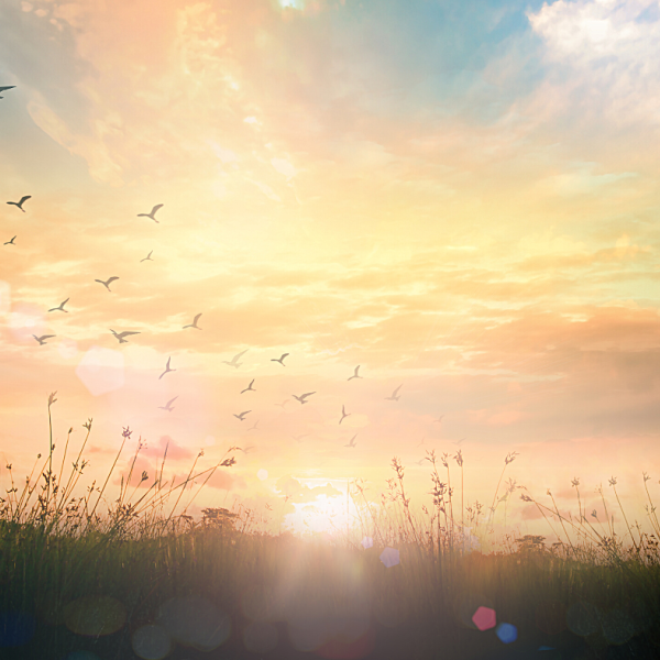 verbundener Atem - Curavida.ch