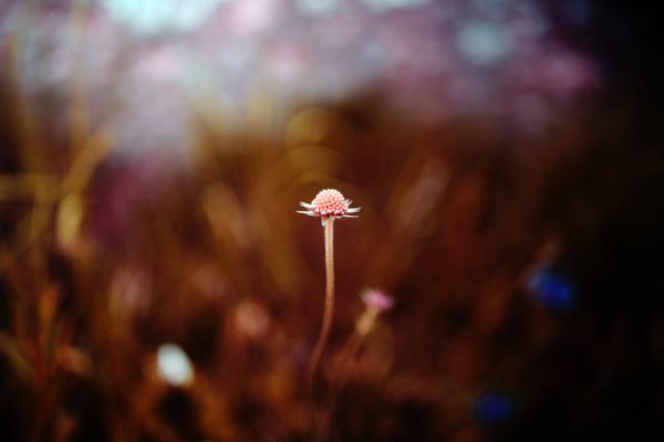 Lebensgefühl - curavida.ch