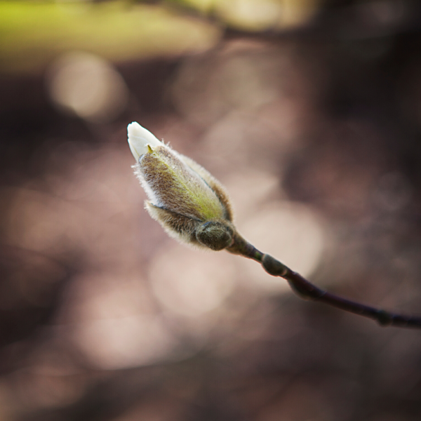 innere unruhe - curavida.ch