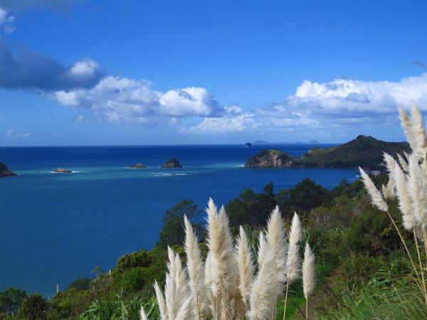 Seelen im Jenseits - curavida.ch