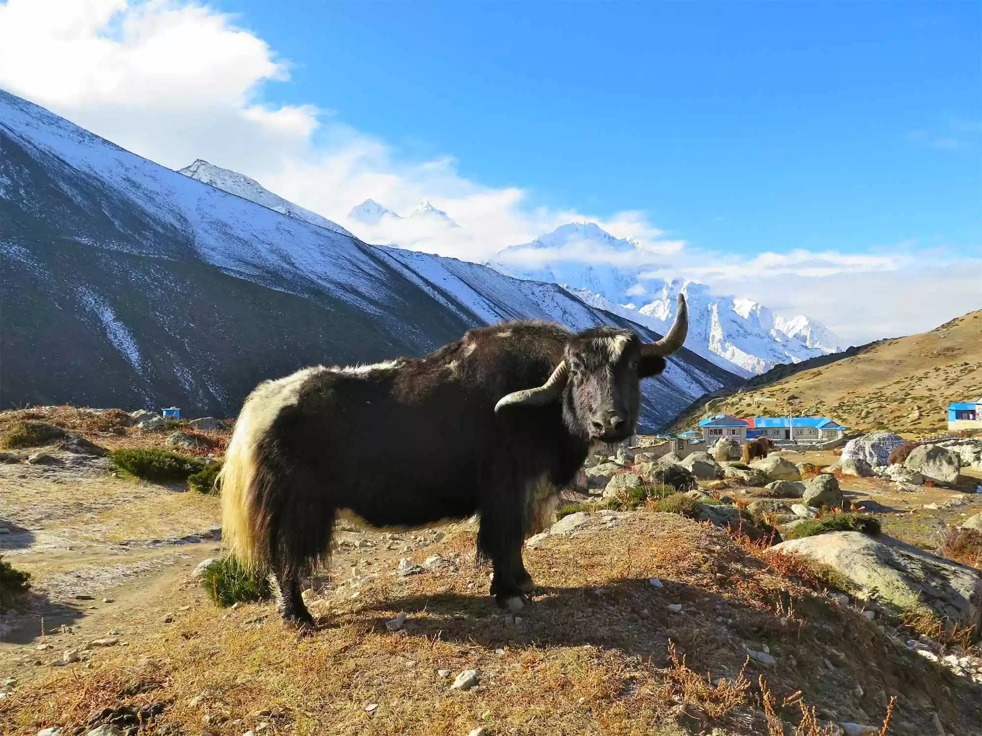 063 Everest