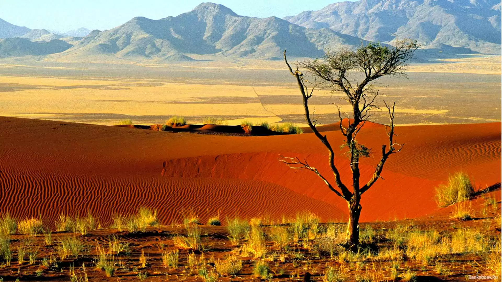 Afrika